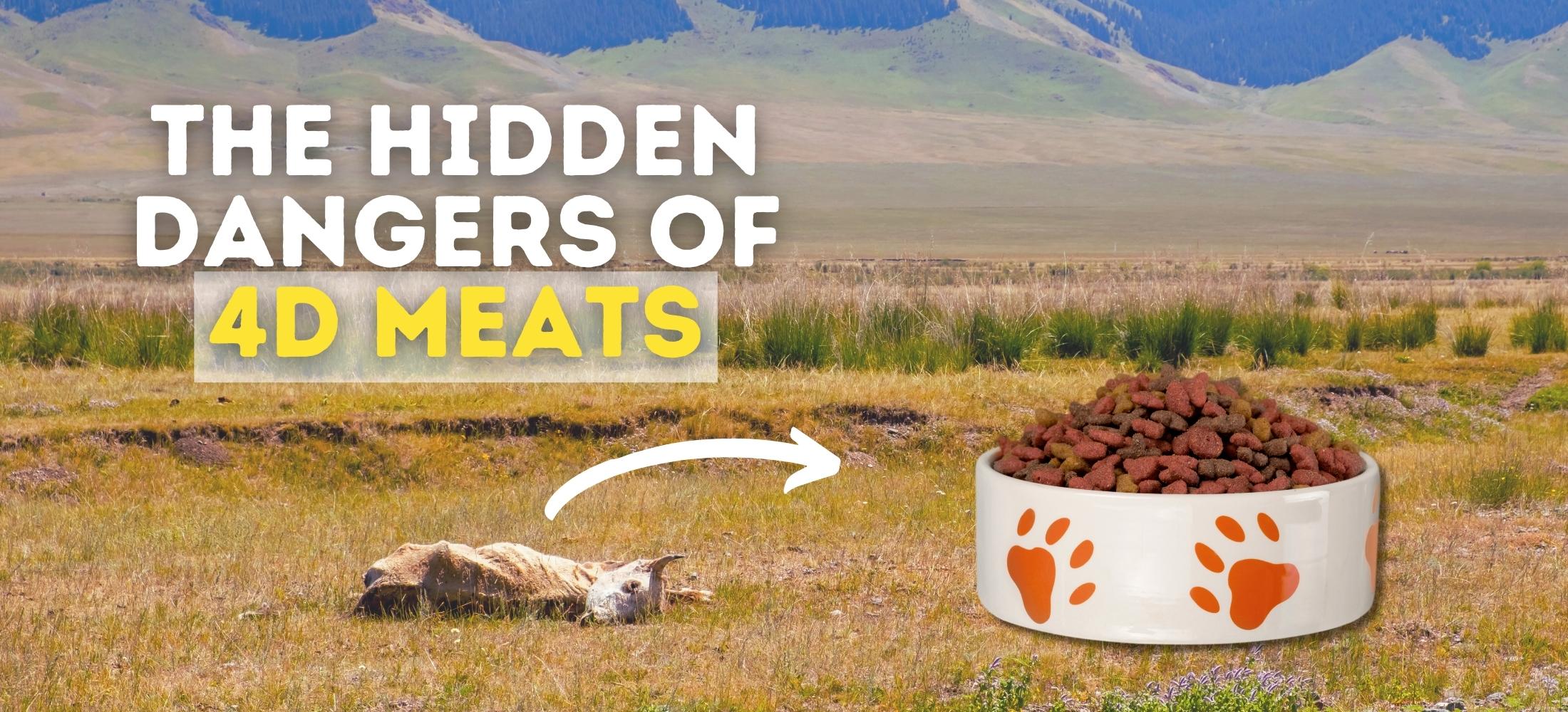 Dead cow next to bowl of dog kibble