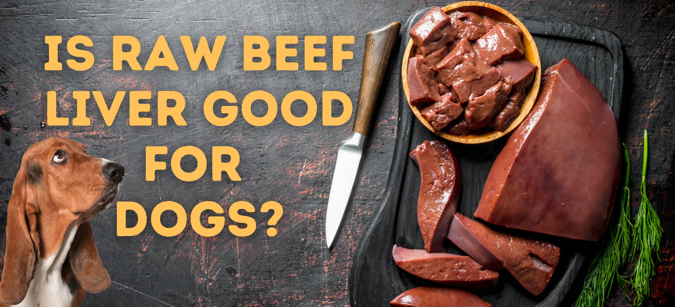 Hound Dog Looks at a plate of grass-fed raw beef liver for dogs