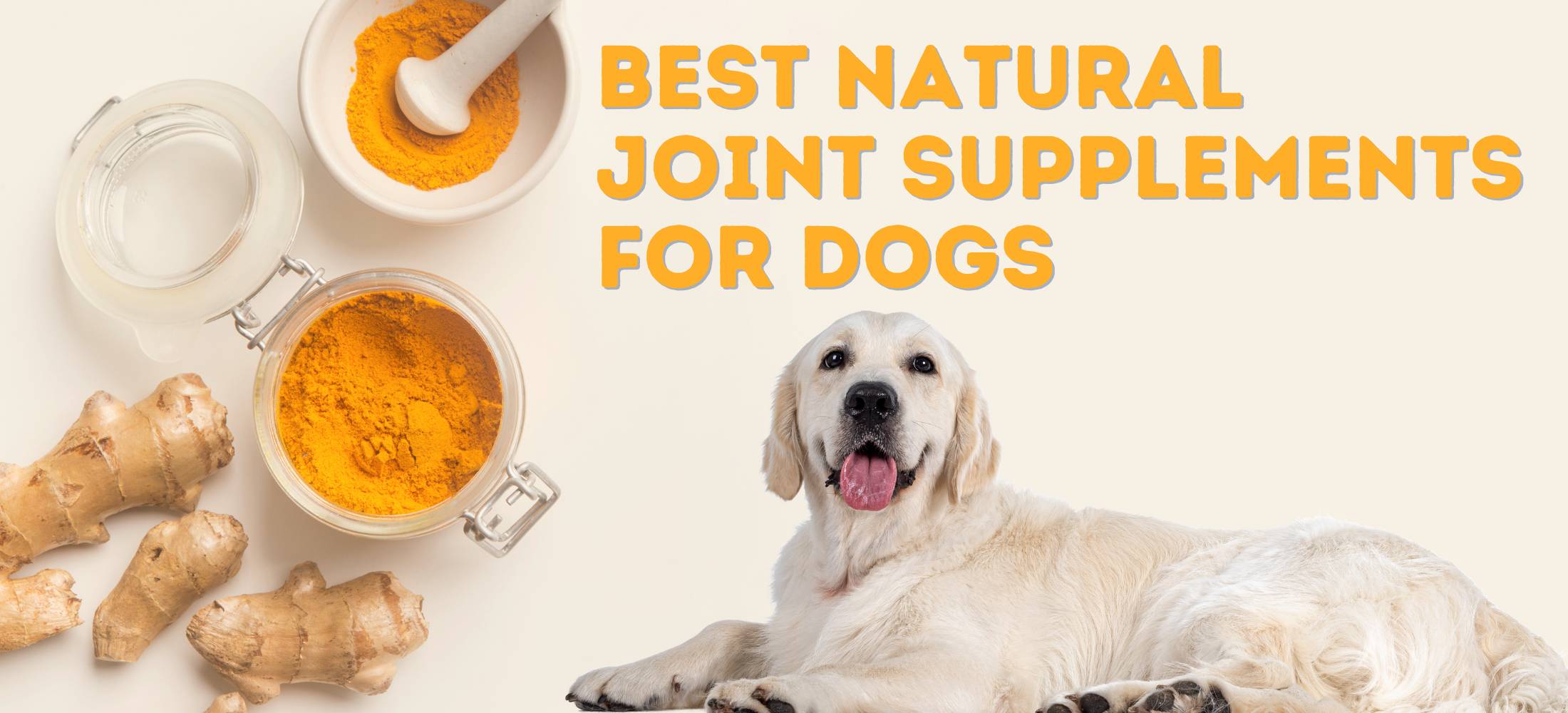 Best supplement for labrador retriever best sale