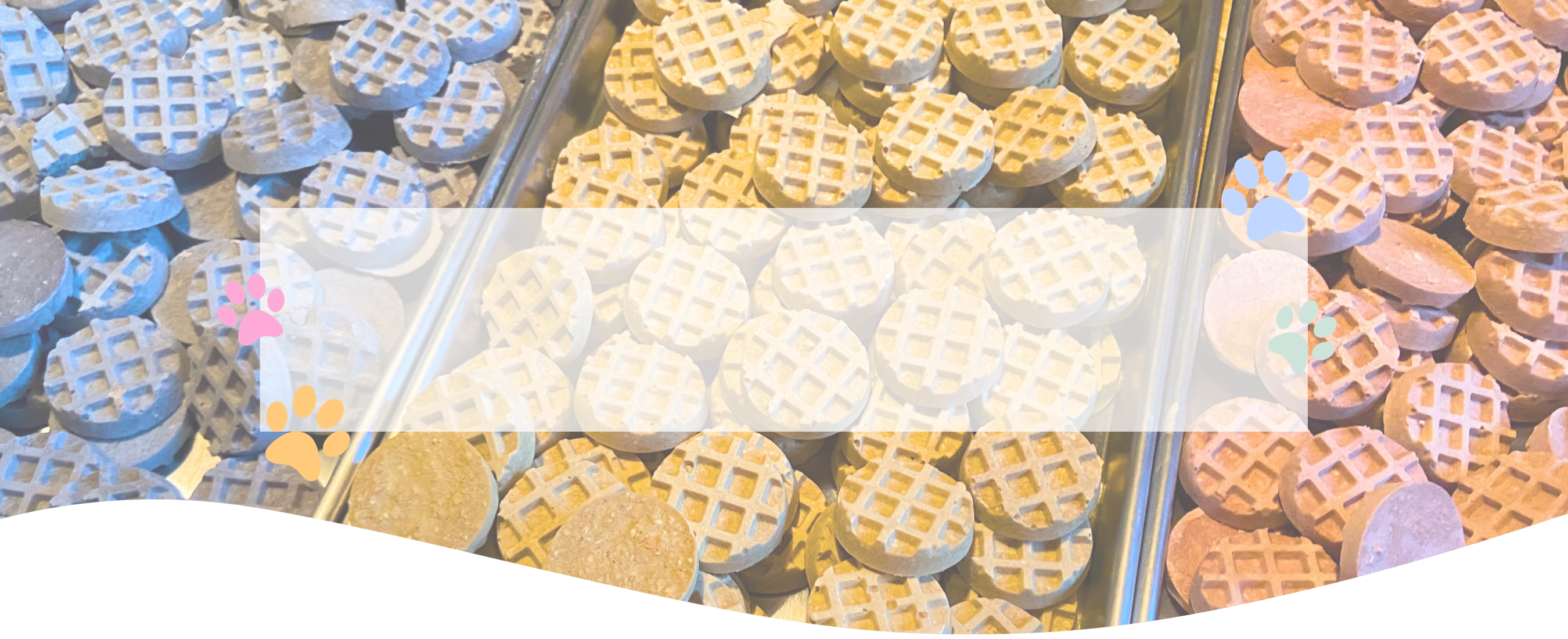 3 trays of Snack Baby's Superfood Waffles featuring blueberry, turmeric, and cranberry