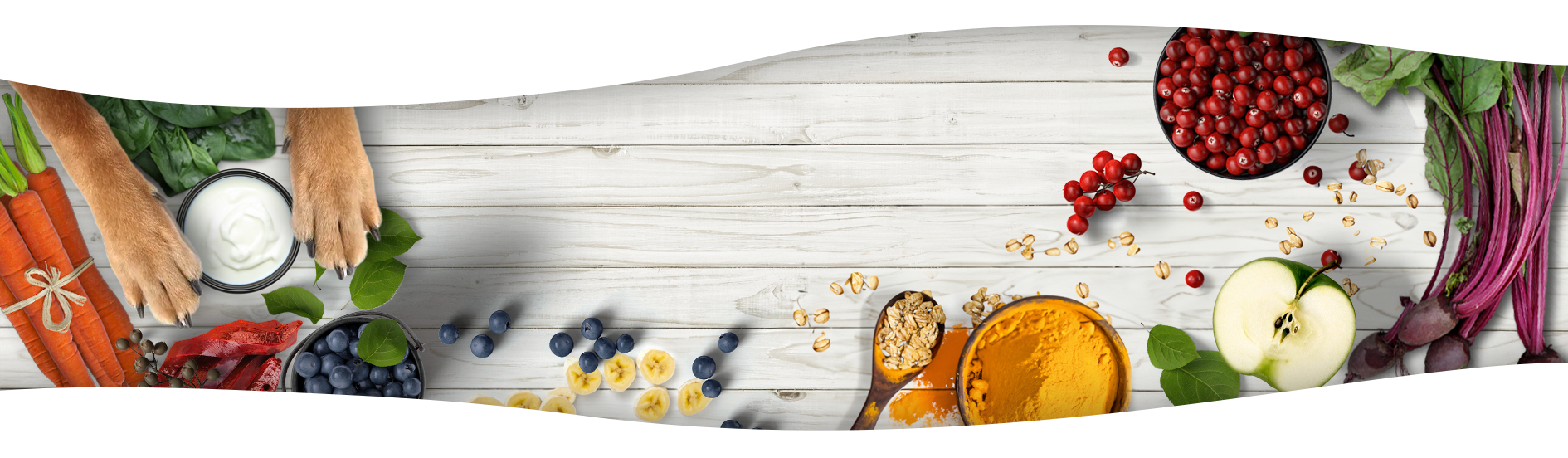 Healthy human-grade ingredients in Snack Baby's freeze dried dog treats including blueberry, cranberry, banana, and turmeric