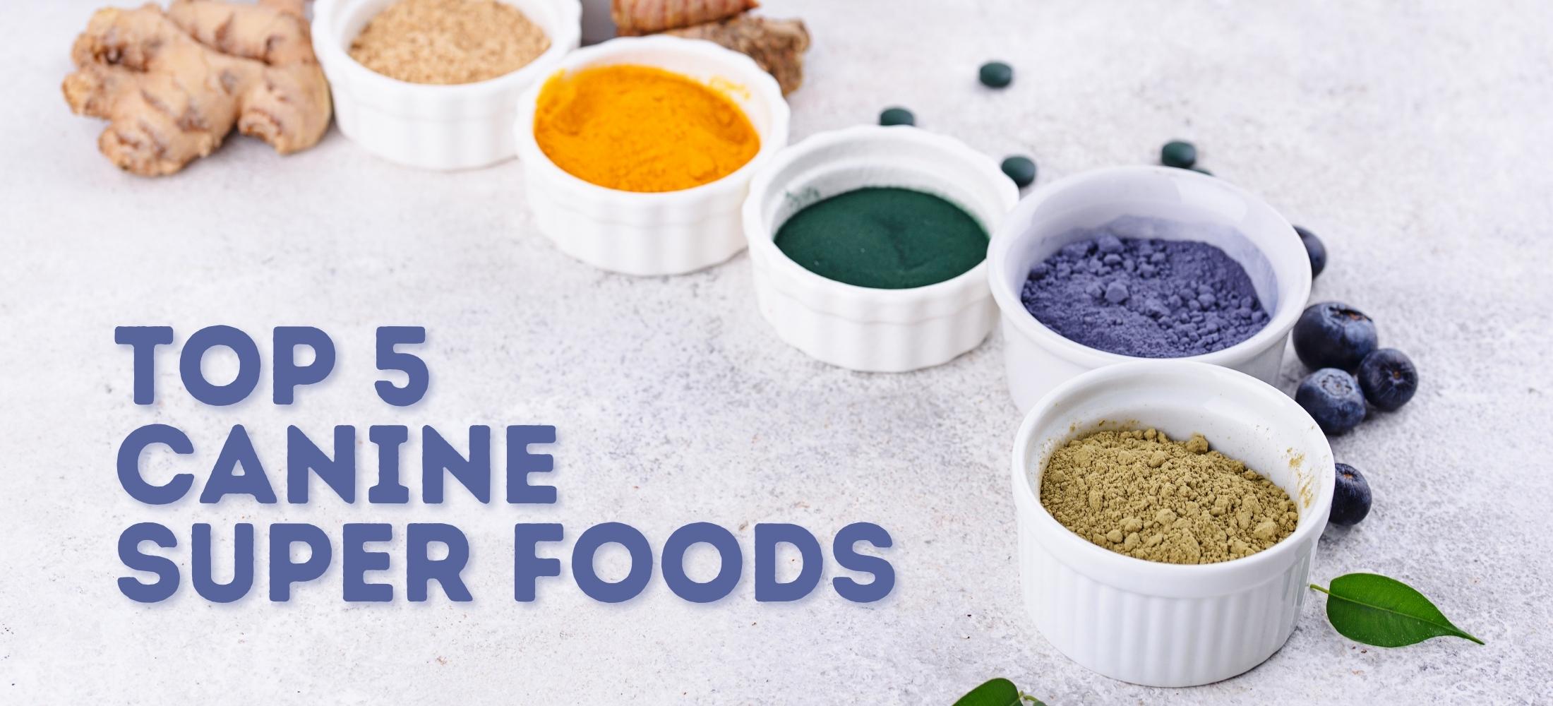 Top 5 Canine Superfoods with turmeric, spirulina, butterfly pea flower