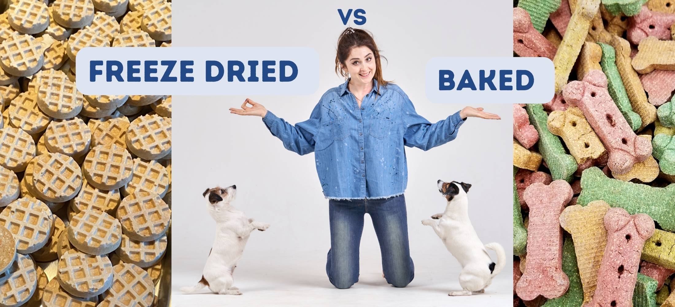 Woman with 2 Jack Russel Terriers debates between freeze dried vs baked dog treats