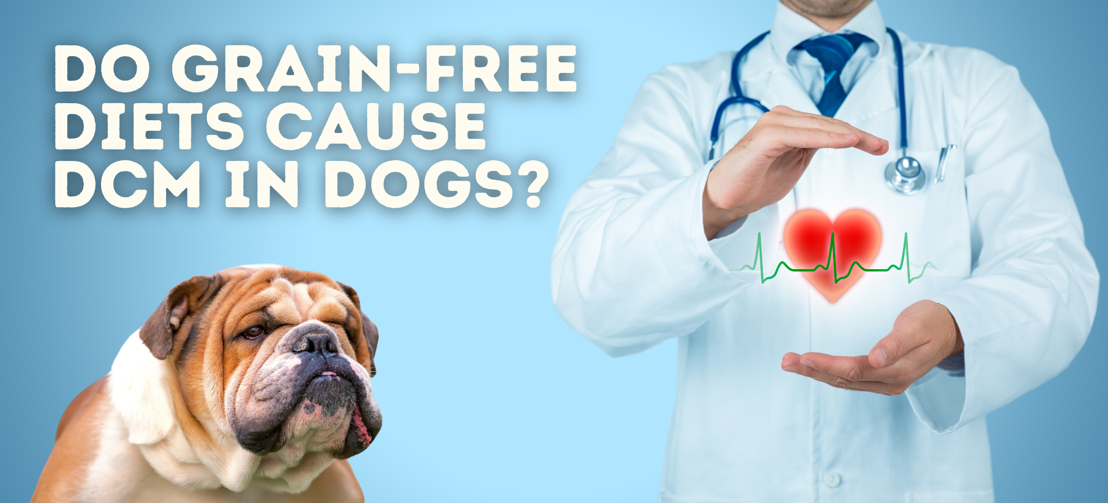 Canidae dcm deals