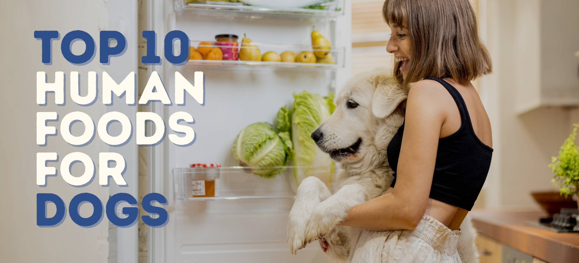 Owner and white lab look into the refrigerator filled with healthy human foods for dogs